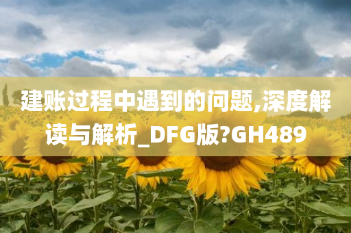 建账过程中遇到的问题,深度解读与解析_DFG版?GH489