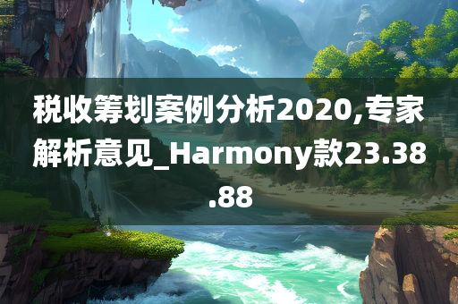 税收筹划案例分析2020,专家解析意见_Harmony款23.38.88