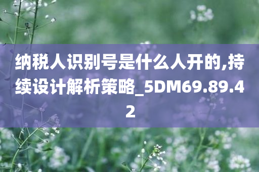 纳税人识别号是什么人开的,持续设计解析策略_5DM69.89.42