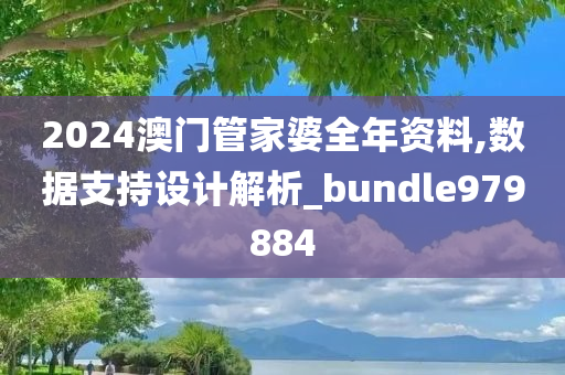 2024澳门管家婆全年资料,数据支持设计解析_bundle979884