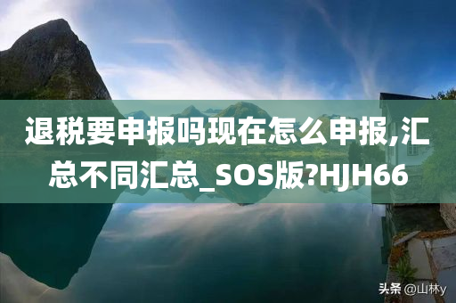 退税要申报吗现在怎么申报,汇总不同汇总_SOS版?HJH66