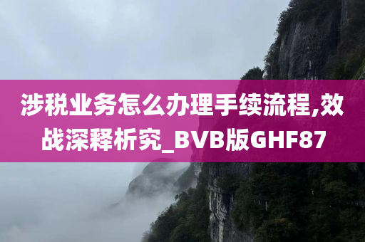 涉税业务怎么办理手续流程,效战深释析究_BVB版GHF87