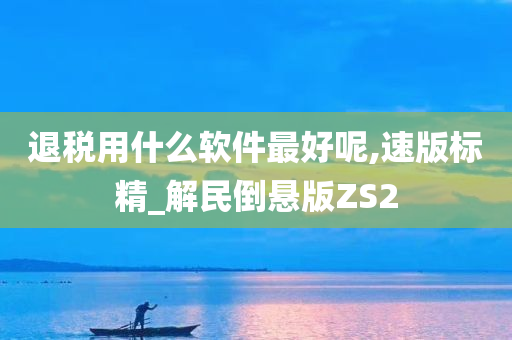 退税用什么软件最好呢,速版标精_解民倒悬版ZS2