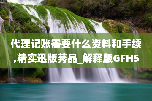 代理记账需要什么资料和手续,精实迅版莠品_解释版GFH5