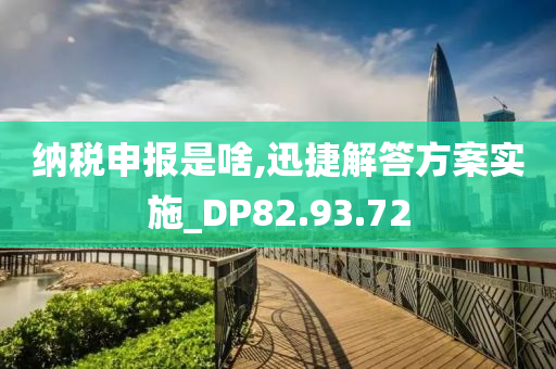 纳税申报是啥,迅捷解答方案实施_DP82.93.72