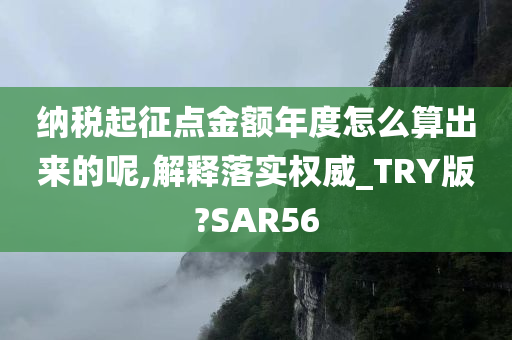 纳税起征点金额年度怎么算出来的呢,解释落实权威_TRY版?SAR56