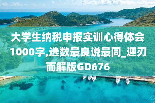 大学生纳税申报实训心得体会1000字,选数最良说最同_迎刃而解版GD676