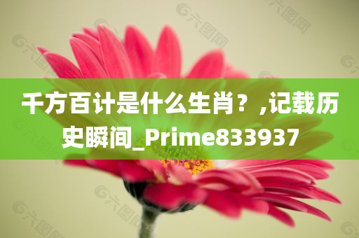 千方百计是什么生肖？,记载历史瞬间_Prime833937