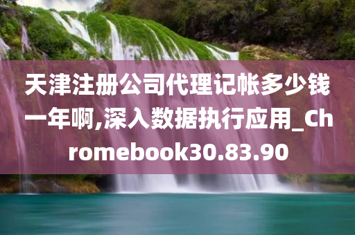 天津注册公司代理记帐多少钱一年啊,深入数据执行应用_Chromebook30.83.90