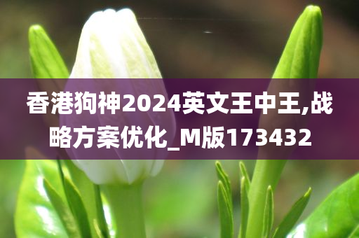 香港狗神2024英文王中王,战略方案优化_M版173432