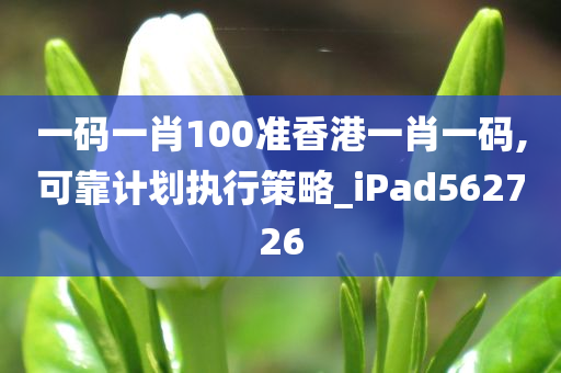 一码一肖100准香港一肖一码,可靠计划执行策略_iPad562726