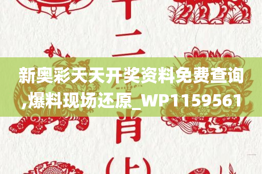 新奥彩天天开奖资料免费查询,爆料现场还原_WP1159561