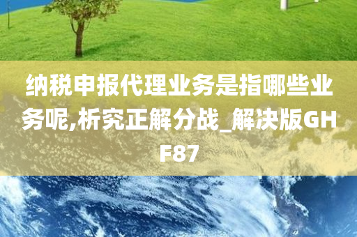 纳税申报代理业务是指哪些业务呢,析究正解分战_解决版GHF87