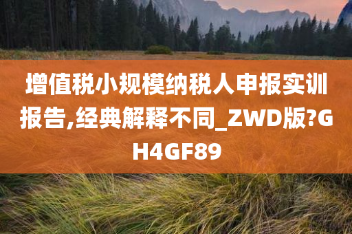 增值税小规模纳税人申报实训报告,经典解释不同_ZWD版?GH4GF89