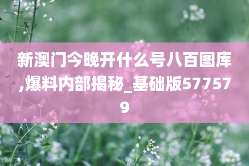 社会 第285页