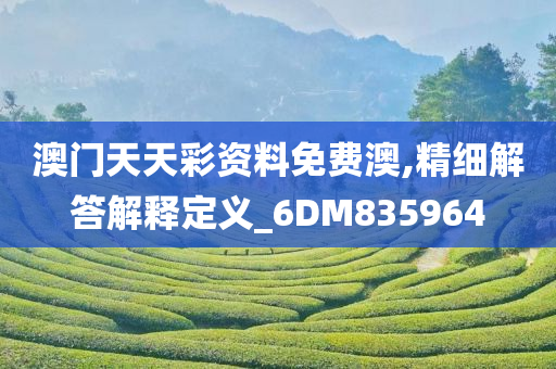 澳门天天彩资料免费澳,精细解答解释定义_6DM835964