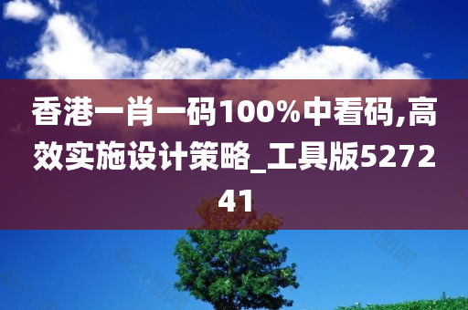 香港一肖一码100%中看码,高效实施设计策略_工具版527241