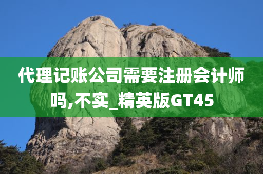 代理记账公司需要注册会计师吗,不实_精英版GT45