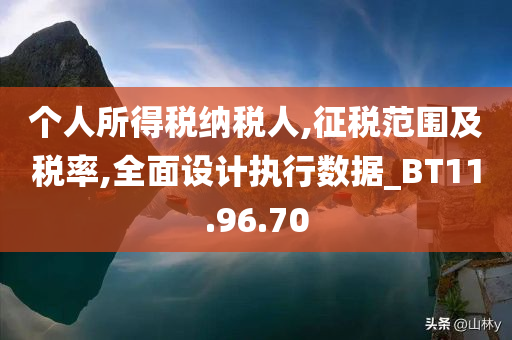 个人所得税纳税人,征税范围及税率,全面设计执行数据_BT11.96.70