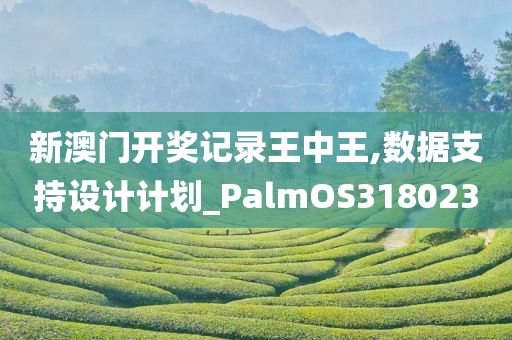 新澳门开奖记录王中王,数据支持设计计划_PalmOS318023