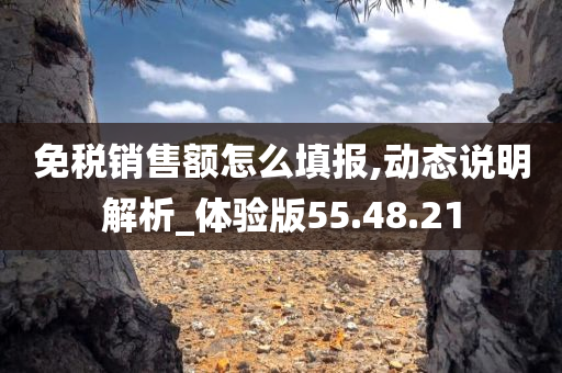 免税销售额怎么填报,动态说明解析_体验版55.48.21