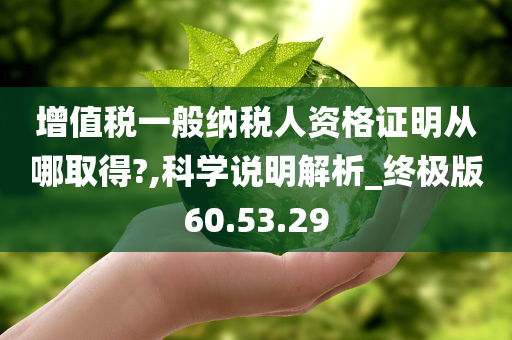 增值税一般纳税人资格证明从哪取得?,科学说明解析_终极版60.53.29