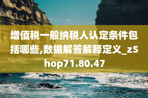 增值税一般纳税人认定条件包括哪些,数据解答解释定义_zShop71.80.47