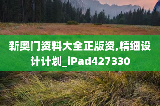 新奥门资料大全正版资,精细设计计划_iPad427330