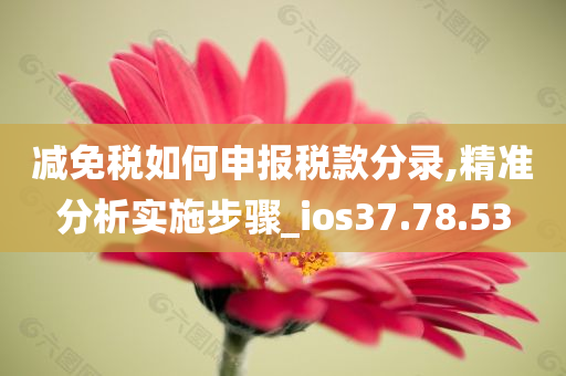 减免税如何申报税款分录,精准分析实施步骤_ios37.78.53