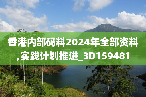 香港内部码料2024年全部资料,实践计划推进_3D159481