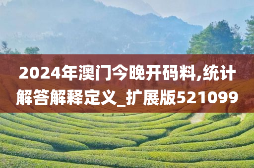 2024年澳门今晚开码料,统计解答解释定义_扩展版521099