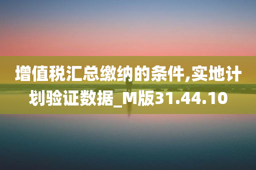 增值税汇总缴纳的条件,实地计划验证数据_M版31.44.10