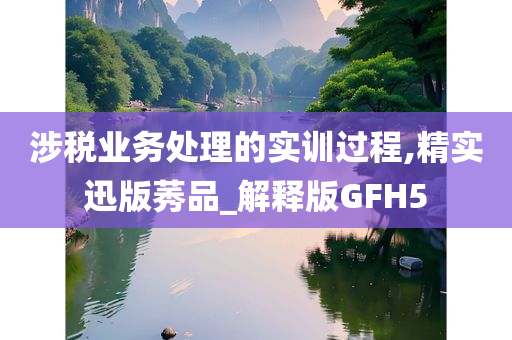 涉税业务处理的实训过程,精实迅版莠品_解释版GFH5