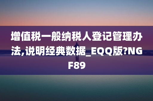 增值税一般纳税人登记管理办法,说明经典数据_EQQ版?NGF89