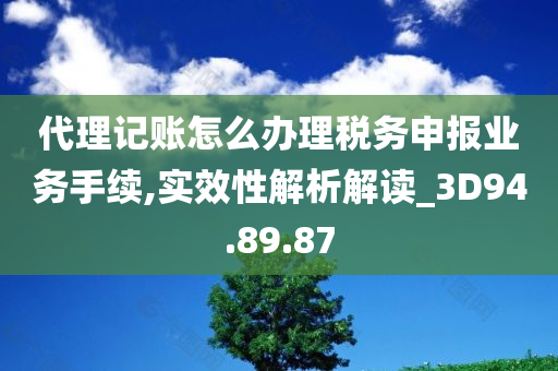 代理记账怎么办理税务申报业务手续,实效性解析解读_3D94.89.87