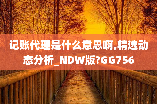 记账代理是什么意思啊,精选动态分析_NDW版?GG756