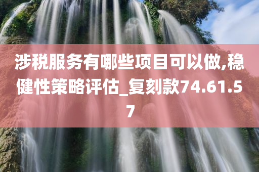 涉税服务有哪些项目可以做,稳健性策略评估_复刻款74.61.57