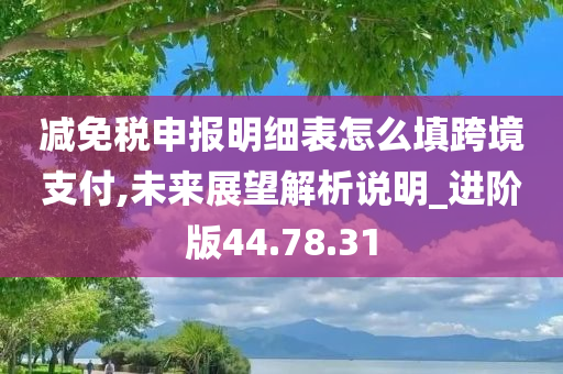 减免税申报明细表怎么填跨境支付,未来展望解析说明_进阶版44.78.31