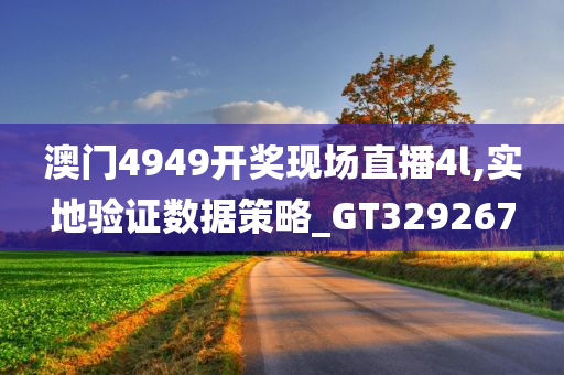 澳门4949开奖现场直播4l,实地验证数据策略_GT329267