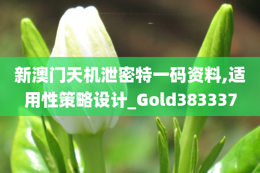 新澳门天机泄密特一码资料,适用性策略设计_Gold383337