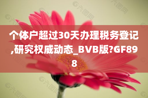 个体户超过30天办理税务登记,研究权威动态_BVB版?GF898