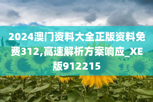 2024澳门资料大全正版资料免费312,高速解析方案响应_XE版912215