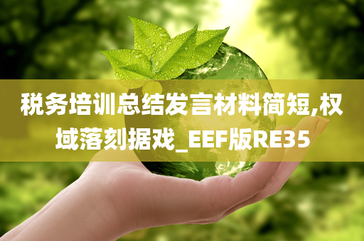 税务培训总结发言材料简短,权域落刻据戏_EEF版RE35