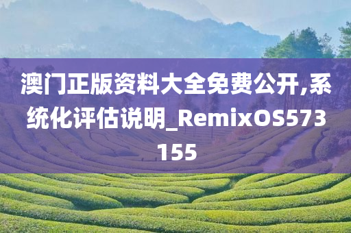 澳门正版资料大全免费公开,系统化评估说明_RemixOS573155