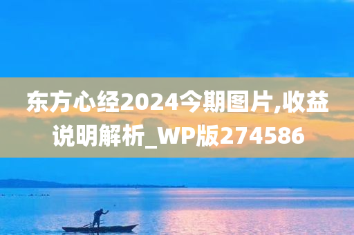 东方心经2024今期图片,收益说明解析_WP版274586