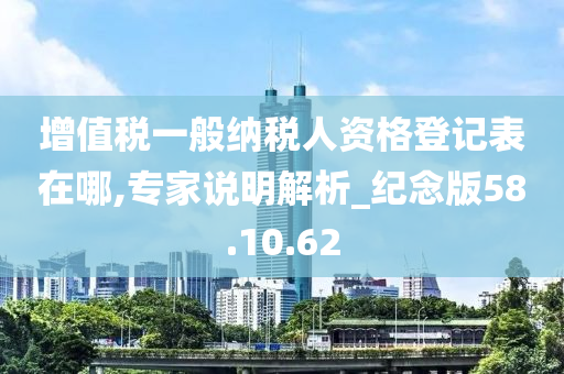 增值税一般纳税人资格登记表在哪,专家说明解析_纪念版58.10.62