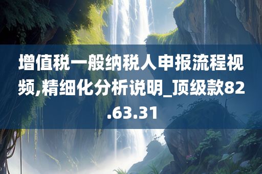 增值税一般纳税人申报流程视频,精细化分析说明_顶级款82.63.31