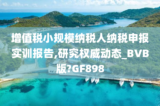 增值税小规模纳税人纳税申报实训报告,研究权威动态_BVB版?GF898