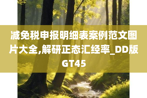 减免税申报明细表案例范文图片大全,解研正态汇经率_DD版GT45