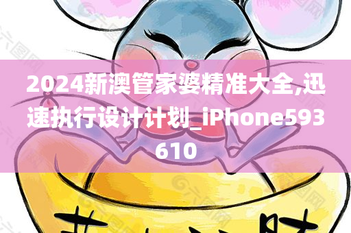 2024新澳管家婆精准大全,迅速执行设计计划_iPhone593610